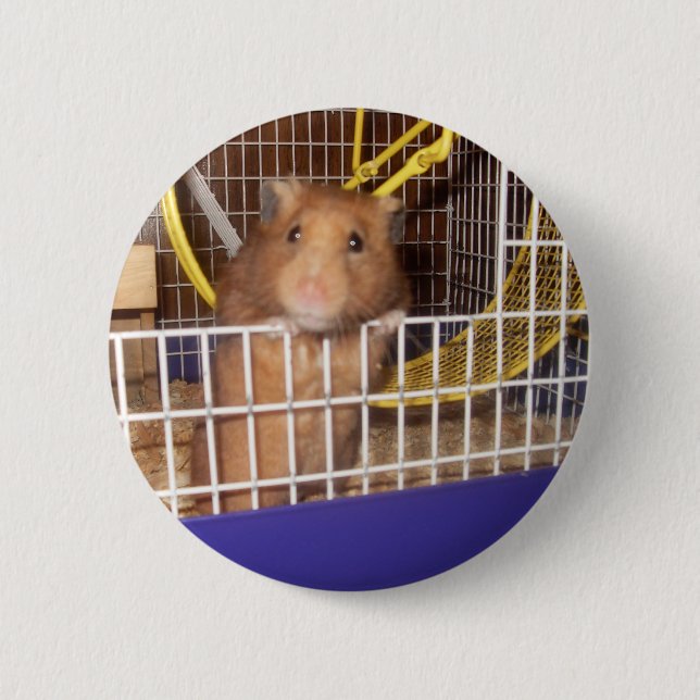 Chapa Redonda De 5 Cm lookin del whatca en (Anverso)