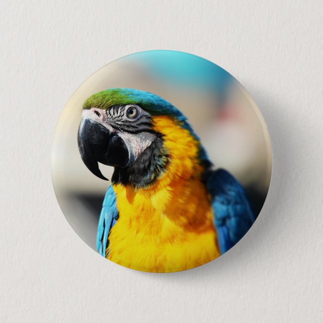 Chapa Redonda De 5 Cm loro (Anverso)