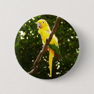 Chapa Redonda De 5 Cm Loro amarillo