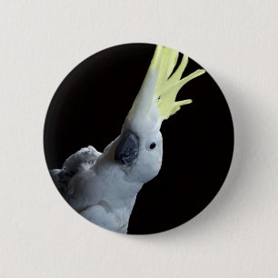 Chapa Redonda De 5 Cm Loro de Cockatoo