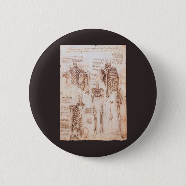 Chapa Redonda De 5 Cm Los huesos de esqueleto de anatomía humana de Leon (Anverso)