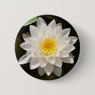 Chapa Redonda De 5 Cm Loto de Nenúfar Blanco Flotante