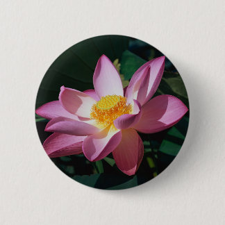 Chapa Redonda De 5 Cm Lotus rosado