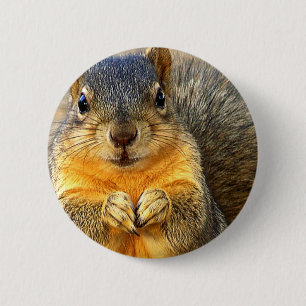 Chapa Redonda De 5 Cm Love Squirrel