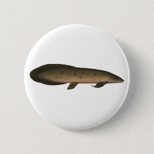 Chapa Redonda De 5 Cm Lungfish australiano