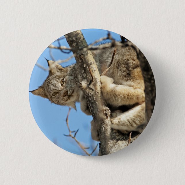 Chapa Redonda De 5 Cm Lynx traviesa (Anverso)