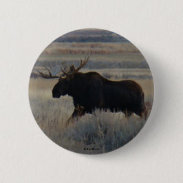 Chapa Redonda De 5 Cm M2 Bull Moose
