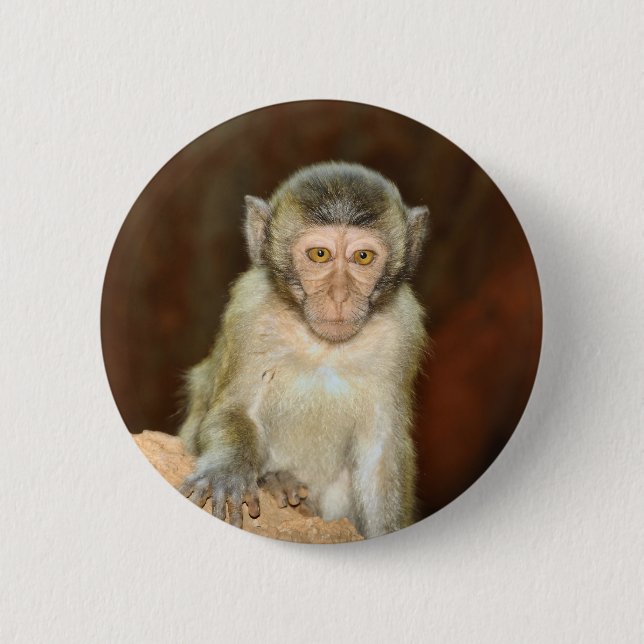 Chapa Redonda De 5 Cm macaco (Anverso)
