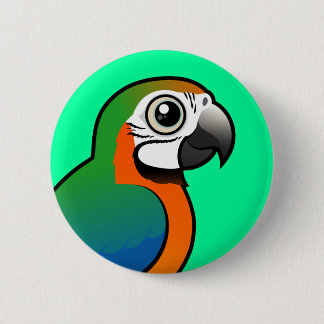 Chapa Redonda De 5 Cm Macaw del Harlequin