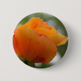 Chapa Redonda De 5 Cm Magnífica fotografía de flores de rosa amarillo.