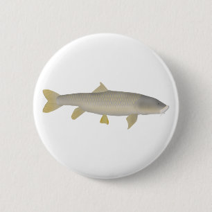Chapa Redonda De 5 Cm Mahseer Dorado