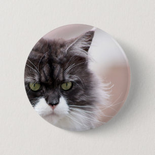 Chapa Redonda De 5 Cm Maine Coon Cat