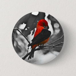 Chapa Redonda De 5 Cm Male Scarlet Tanager