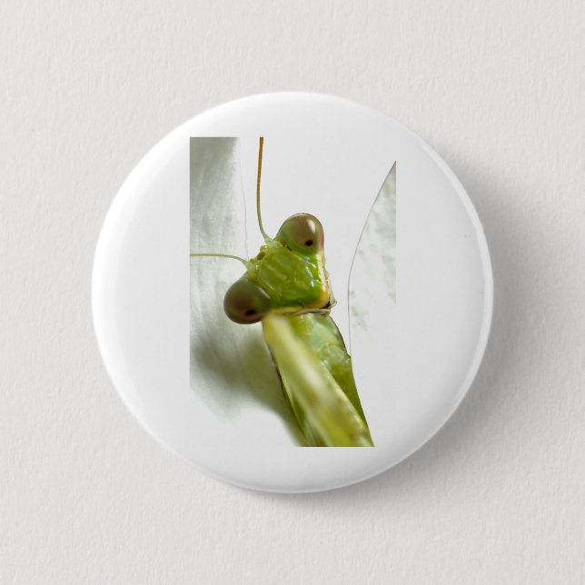 Chapa Redonda De 5 Cm Mantis (Anverso)