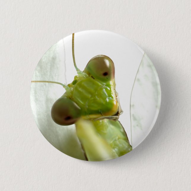 Chapa Redonda De 5 Cm Mantis (Anverso)