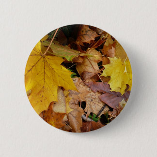 Chapa Redonda De 5 Cm Maple caído deja naturaleza otoño amarilla