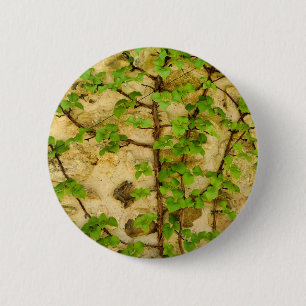 Chapa Redonda De 5 Cm Marca Hydrangea petiolaris