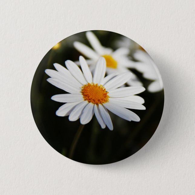 Chapa Redonda De 5 Cm Margarita (Anverso)