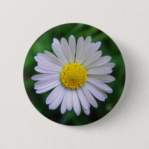 Chapa Redonda De 5 Cm Margarita brillante de color amarillo-blanco