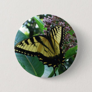 Chapa Redonda De 5 Cm Mariposa de cola torta I en Milkweed en Shenandoah