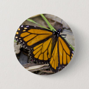 Chapa Redonda De 5 Cm Mariposa monarca