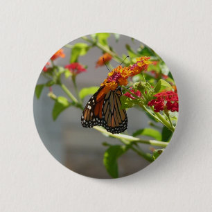 Chapa Redonda De 5 Cm Mariposa Monarca en Arbusto de Mariposas Rojo