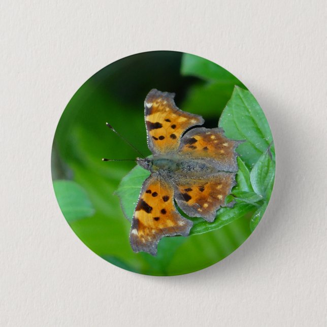 Chapa Redonda De 5 Cm mariposa naranja (Anverso)