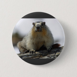 Chapa Redonda De 5 Cm Marmota hinchada amarillo