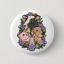 Mascota No Alimentos