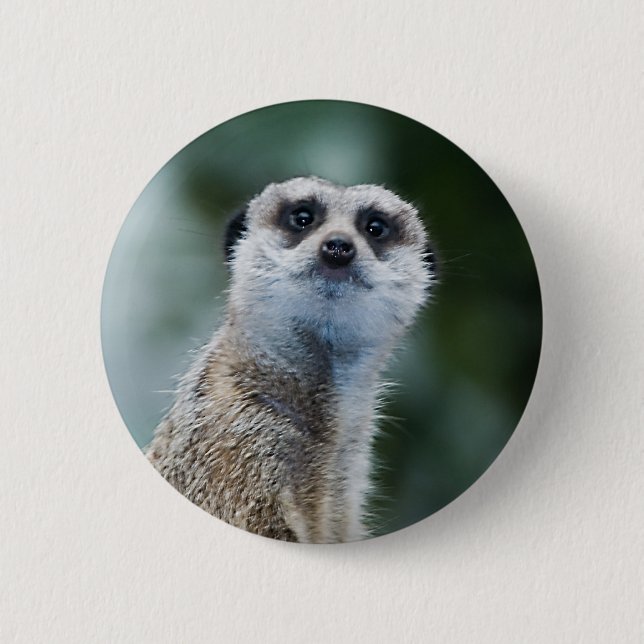 Chapa Redonda De 5 Cm Meerkat (Anverso)