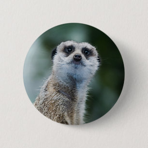 Chapa Redonda De 5 Cm Meerkat