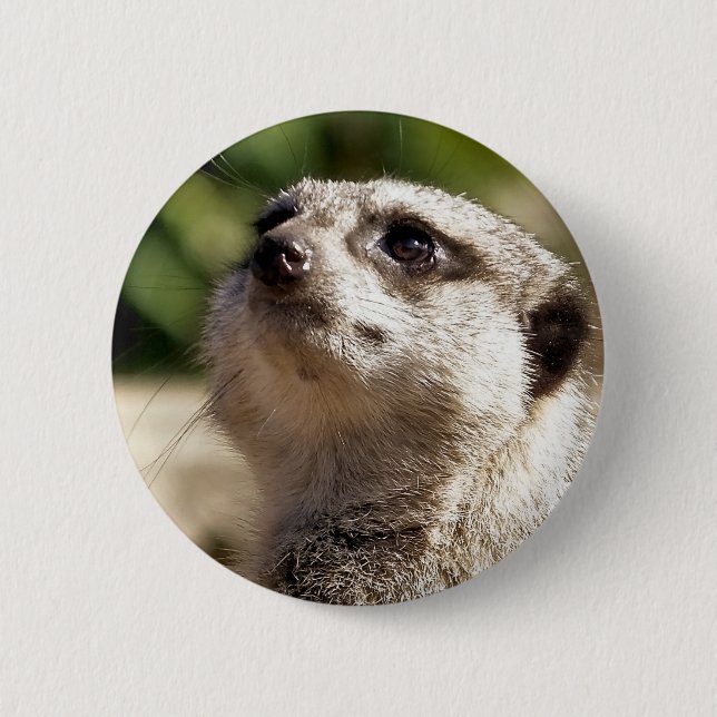 CHAPA REDONDA DE 5 CM MEERKAT (Anverso)