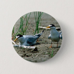 Chapa Redonda De 5 Cm Menos golondrinas de mar