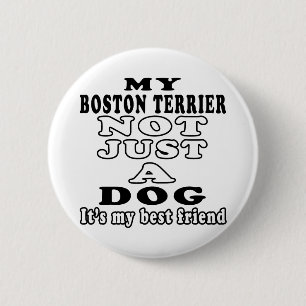 Chapa Redonda De 5 Cm Mi Boston Terrier no apenas un perro