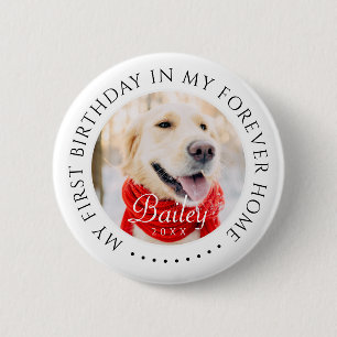 Chapa Redonda De 5 Cm Mi primer cumpleaños para la foto de un Mascota mo