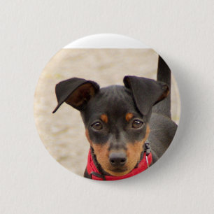 Chapa Redonda De 5 Cm mini-pinscher-negro y óxido