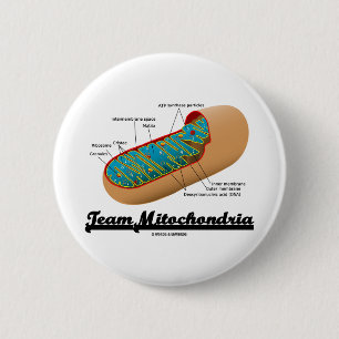 Chapa Redonda De 5 Cm Mitocondrias del equipo (humor de Mitochondrion)