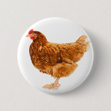 MITTENS - POLLO