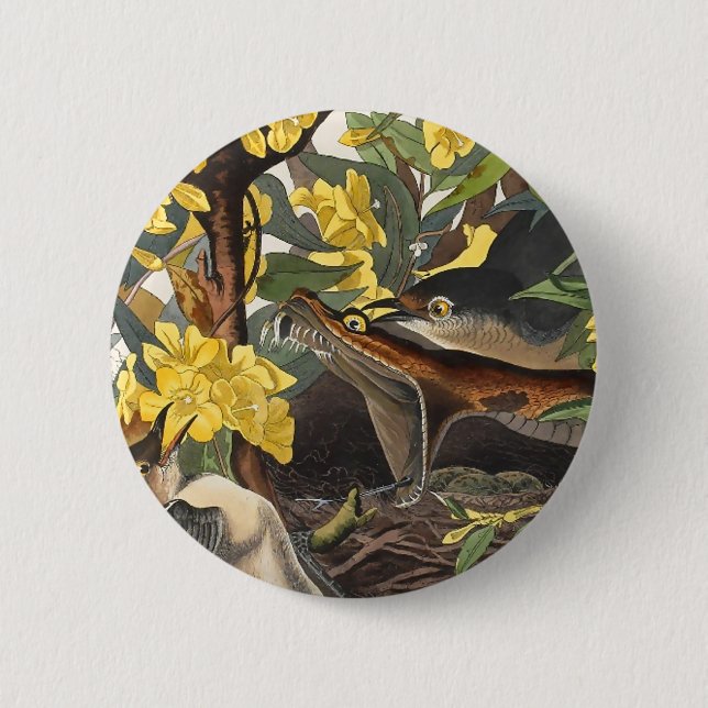 Chapa Redonda De 5 Cm Mockingbirds, John James Audubon (Anverso)
