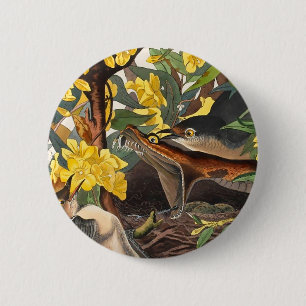 Chapa Redonda De 5 Cm Mockingbirds, John James Audubon