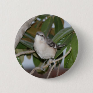 Chapa Redonda De 5 Cm Mockingbutton - Mockingbird septentrional en