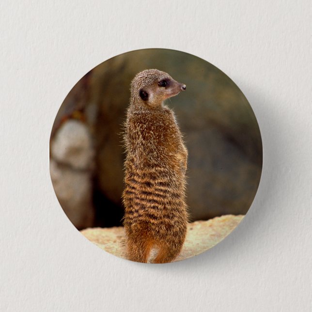 Chapa Redonda De 5 Cm Mongoose10 (Anverso)