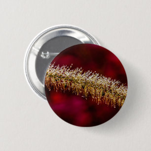 Chapa Redonda De 5 Cm Morning Dew