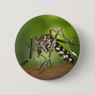 Chapa Redonda De 5 Cm Mosquito de tigre