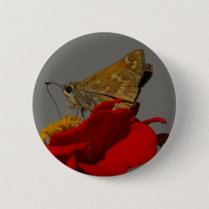 Chapa Redonda De 5 Cm Moth