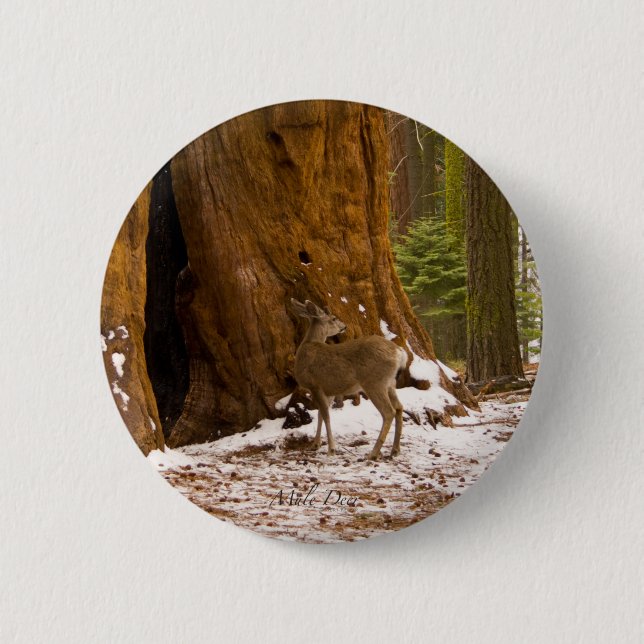 Chapa Redonda De 5 Cm Mule Deer (Anverso)