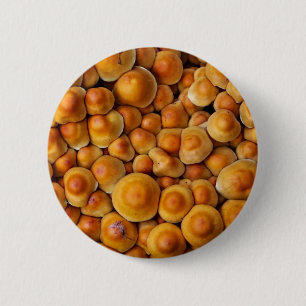 Chapa Redonda De 5 Cm Mushrooms Fungus