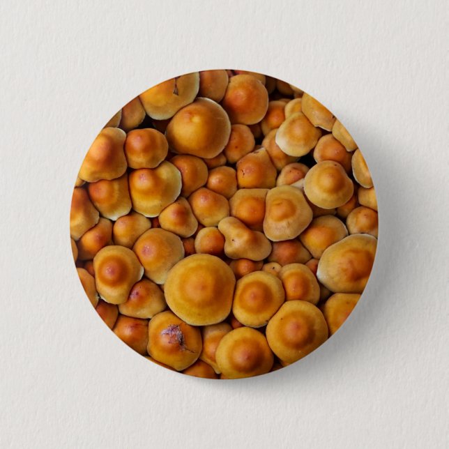 Chapa Redonda De 5 Cm Mushrooms Fungus (Anverso)
