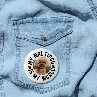 Chapa Redonda De 5 Cm My Maltipoo Is My World Custom Pet Photo