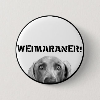 Chapa Redonda De 5 Cm Nación de Weimaraner: ¡Weimaraner en una caja!